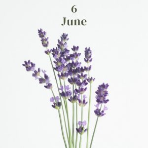 6月のお花