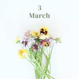 3月のお花