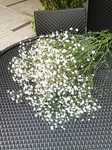 霞草 カスミソウ 公式 ラグナスイート新横浜 ホテル Amp ウエディング 新横浜駅2分の結婚式場